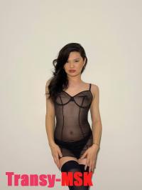 ���� ������������� ����� Tg WP �� ������ ������