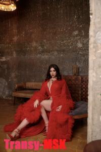 ���� ������������� Bella �� ������ ������