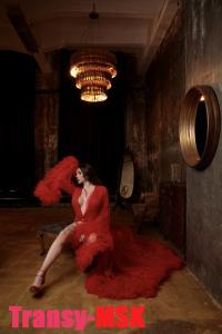 ���� ������������� Bella �� ������ ������