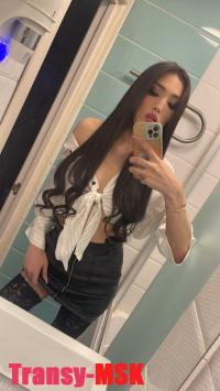 ���� ������������� Sakura �� ������ ������