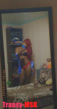 ���� ������������� Dalia �� ������ ������