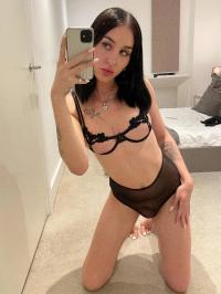 ���� ������������� ���� �� ������ ������