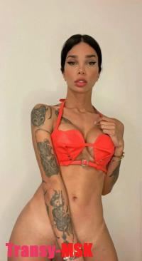 ���� ������������� Dina NEW �� ������ ������