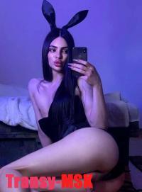 ���� ������������� Dina �� ������ ������