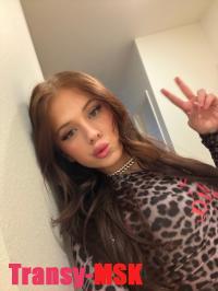 ���� ������������� ������ �� ������ ������