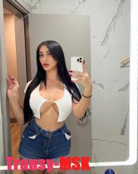 ���� ������������� DIANA �� ������ ������